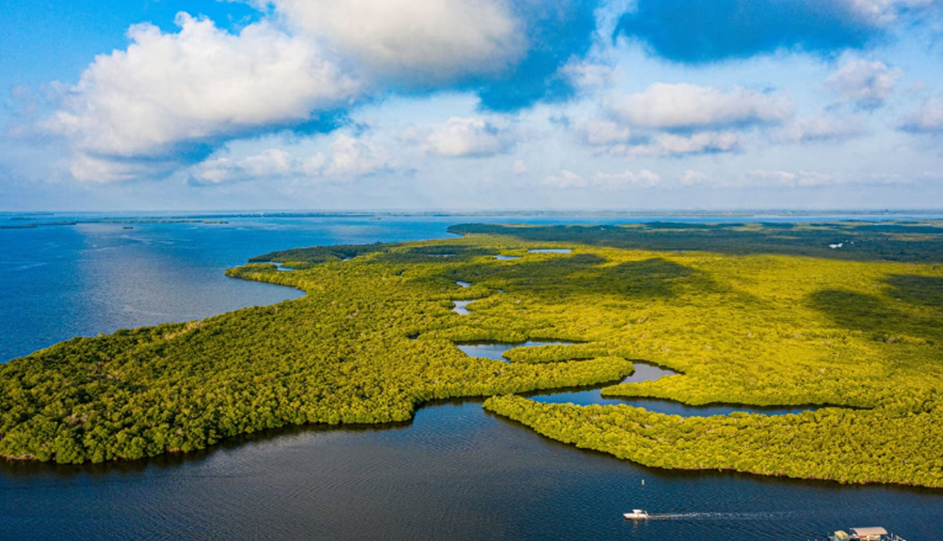 BMW SUPPORTS LIAOHEKOU BIOLOGICAL PROTECTION AND UPGRADES ITS CORPORATE SOCIAL RESPONSIBILITY